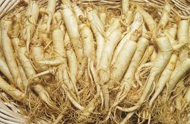 Ginseng